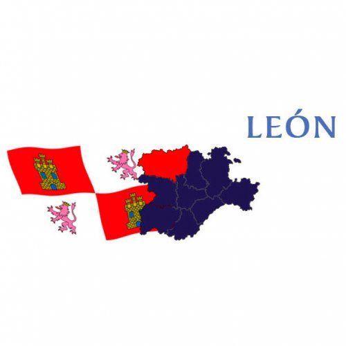 CECAP CASTILLA Y LEÓN